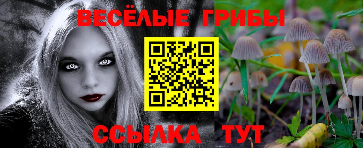 Псилоцибиновые грибы ЛСД Сердобск